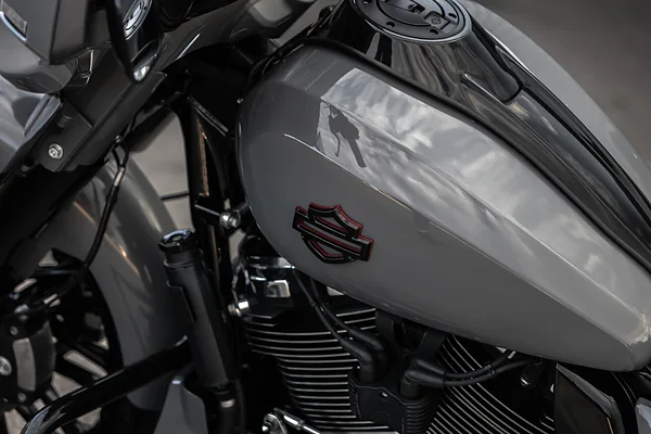 Harley-Davidson Street Glide, foto 20